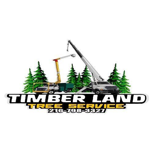 Timberland Tree Service