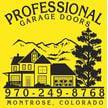 Professional Garage Doors