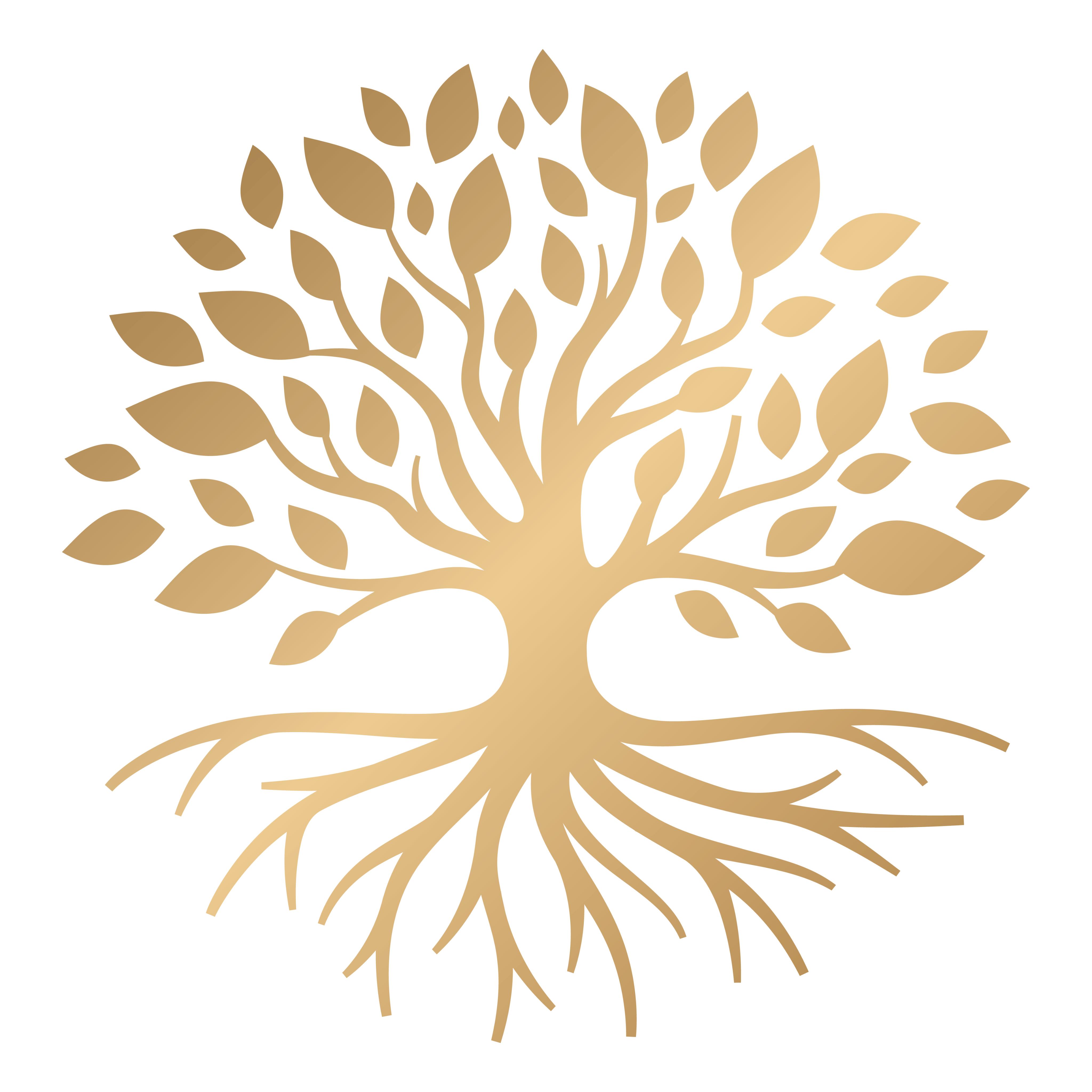 Taproot Growth Partners LLC