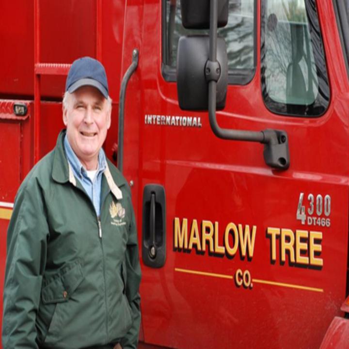 Marlow Tree Company