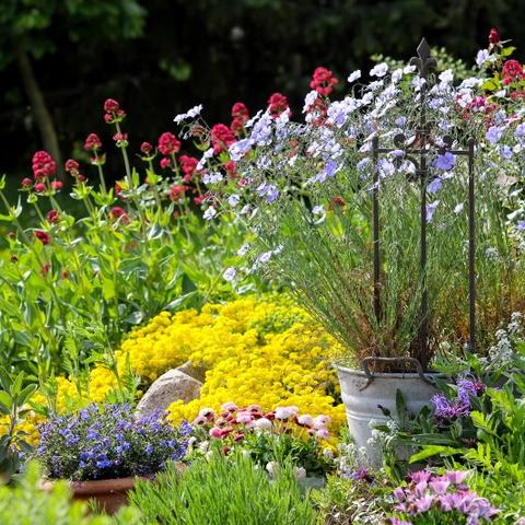 ZOGA Gartenpflege Dietmar Kirsch