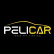 Pelicar Professional Tinting, PPF and Wrap
