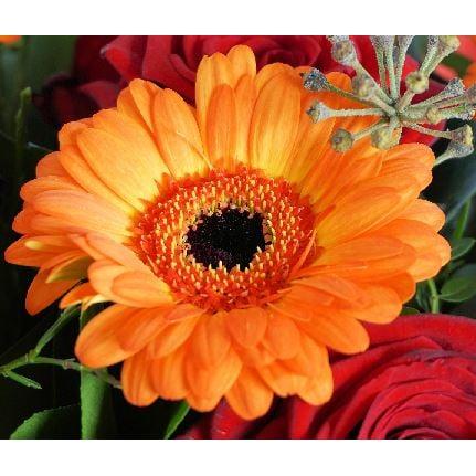 Blumencenter Krüger