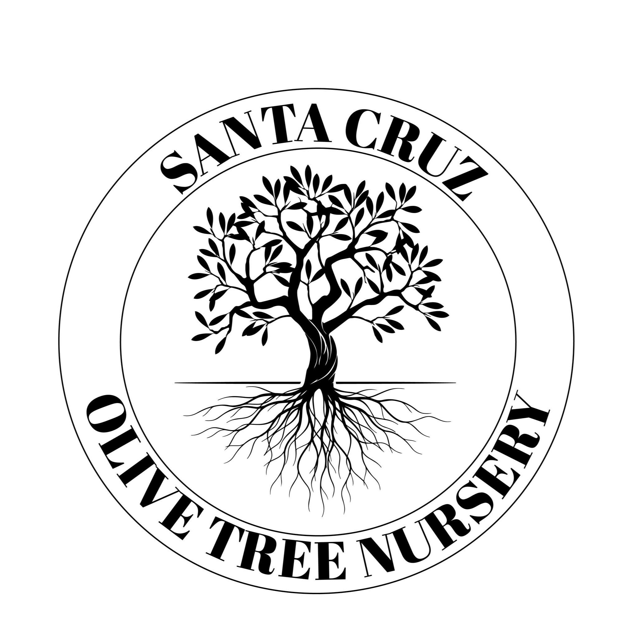 Santa Cruz Olive Tree Nursery