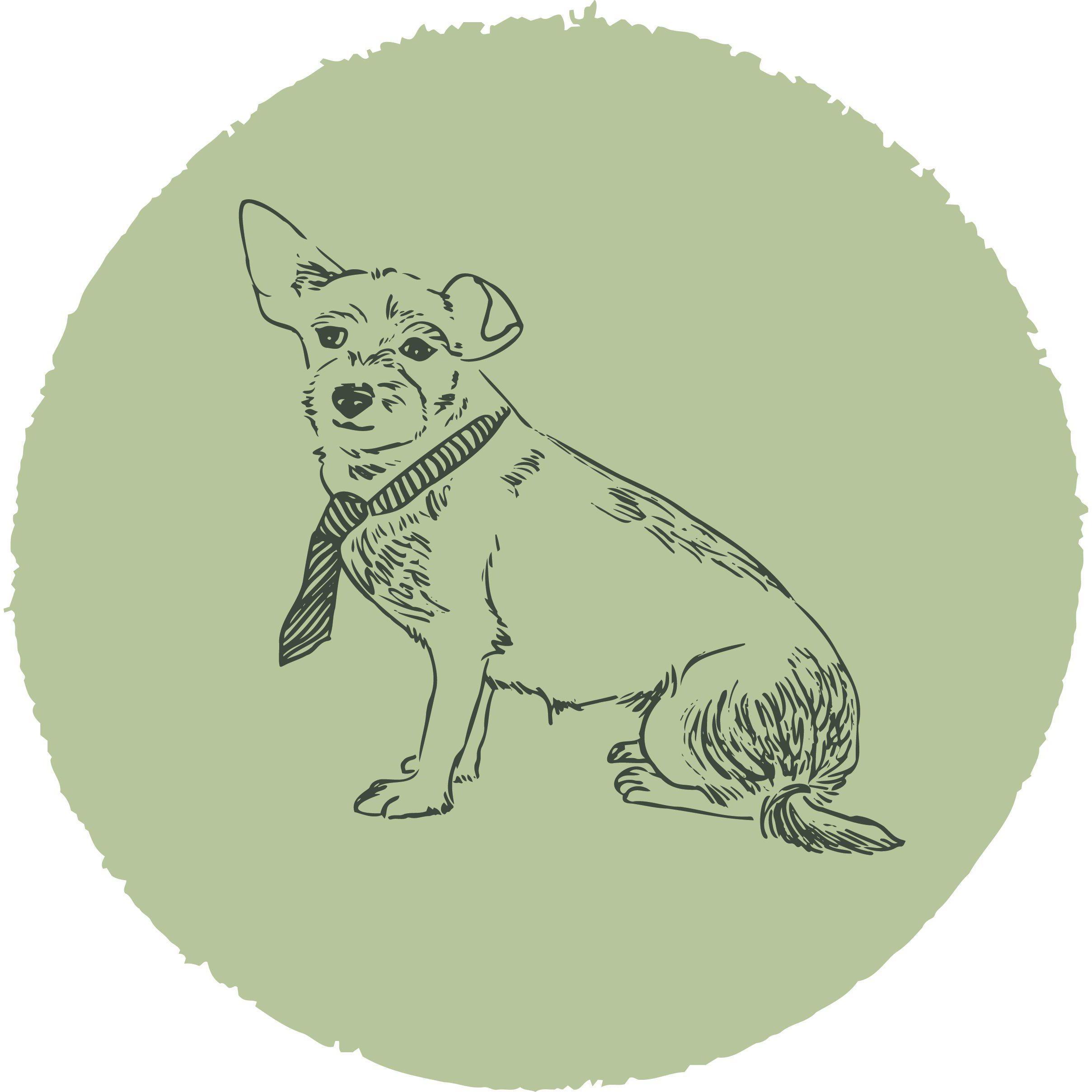 Brookhollow Veterinary Clinic