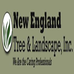 New England Tree & Landscape Inc