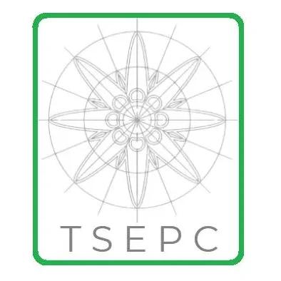 T S E P C Ltd