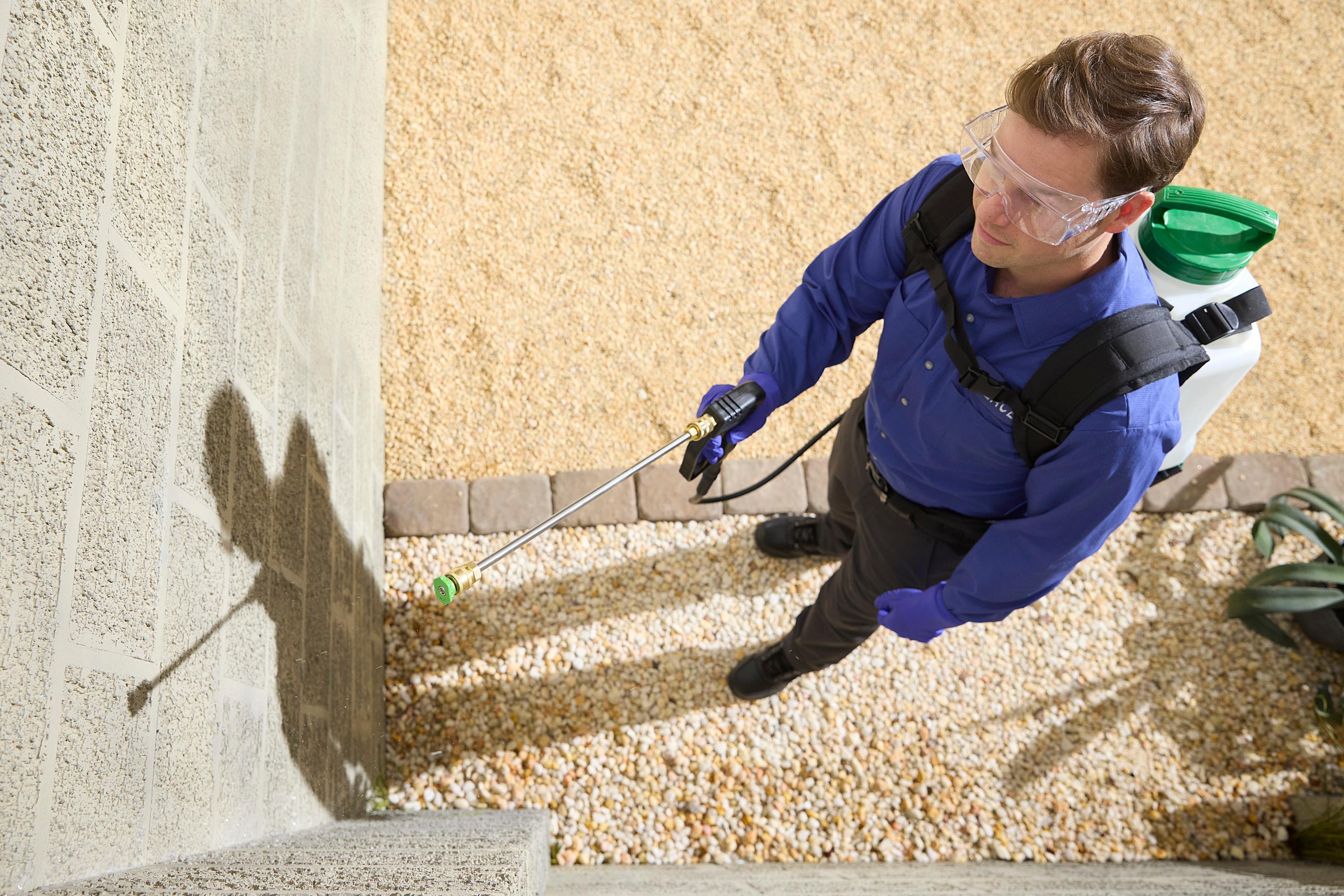 Las Vegas Pest Control