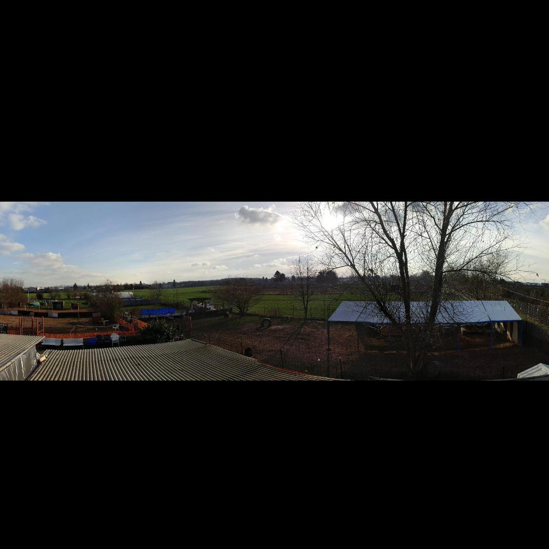 NewDogCenter Hundeschule Troisdorf