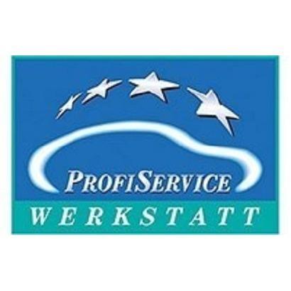Profi Service Werkstatt Boländer Inh. Udo Sieveneck