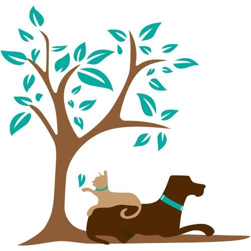 Jonesborough Animal Hospital