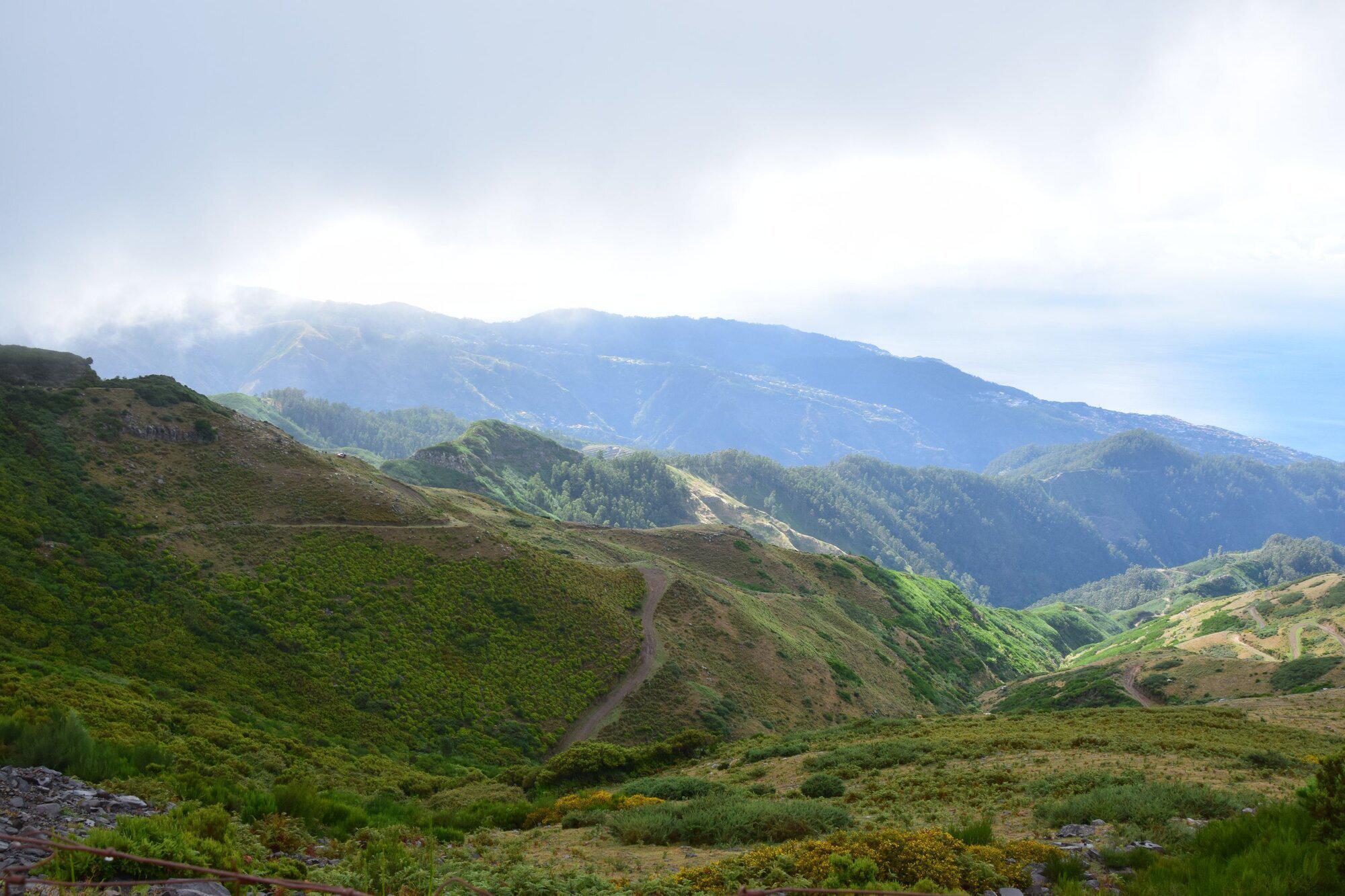 PhiloFine Philosophische Praxis Josephine Ihde