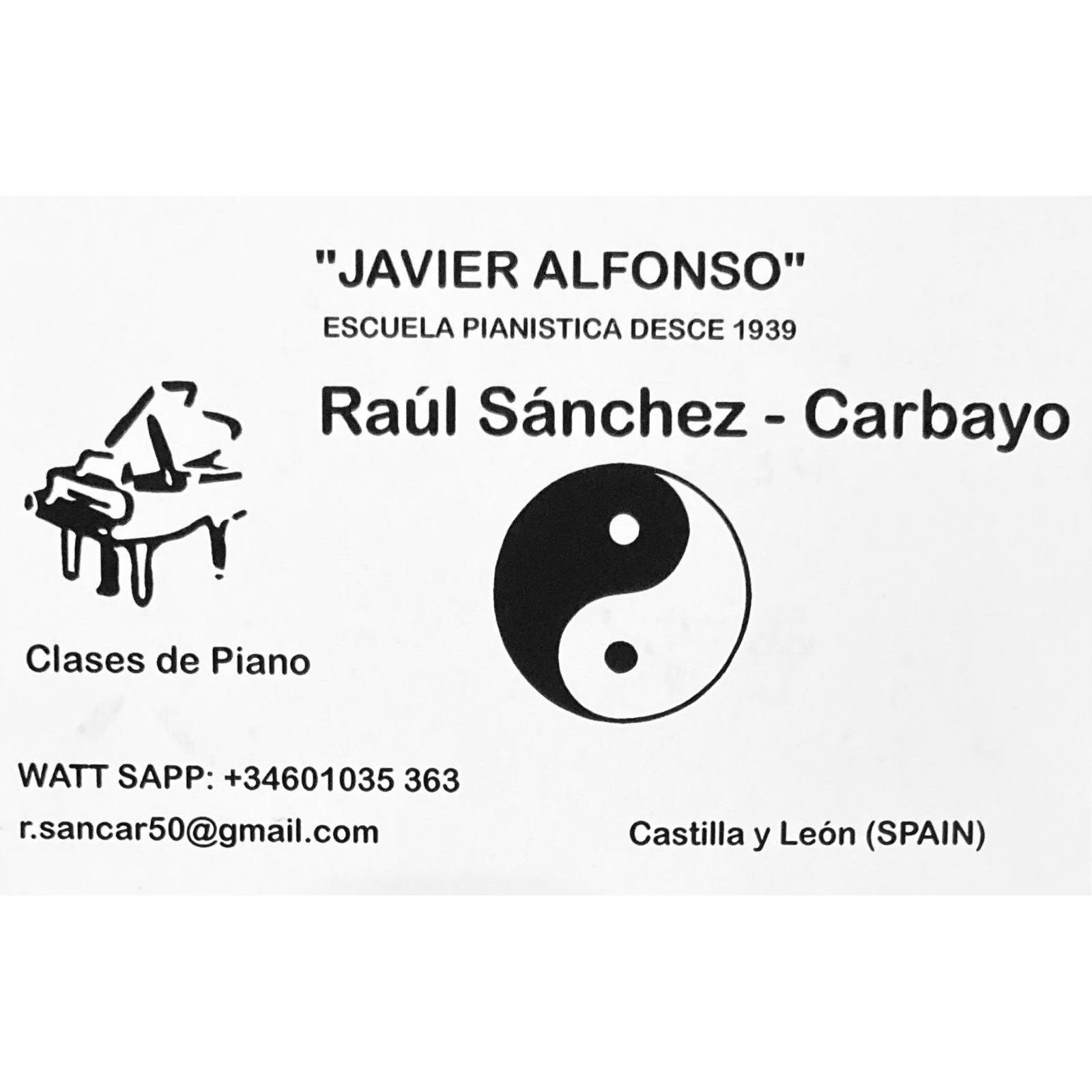 Prof Raul Sanchez Carbayo