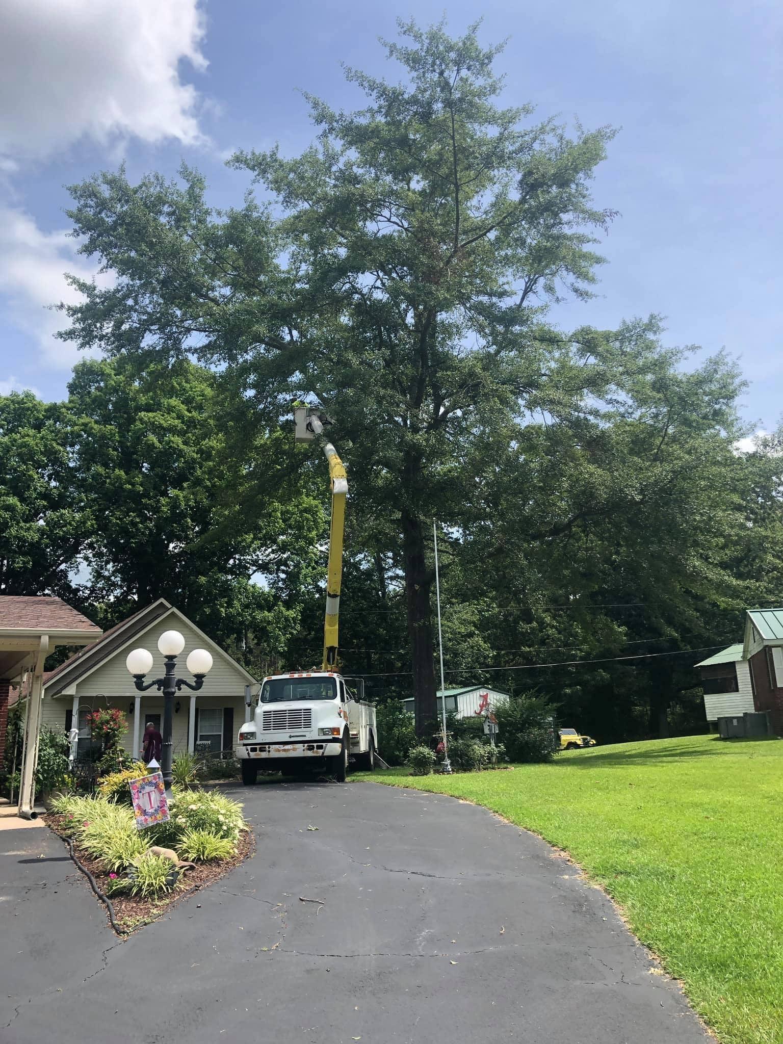 7 Oaks Tree Service LLC