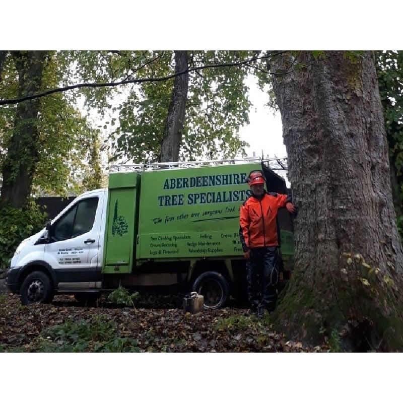 Aberdeenshire Tree Specialist