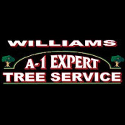 Williams A-1 Expert Tree Service