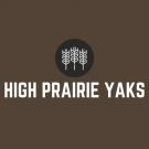 High Prairie Yaks