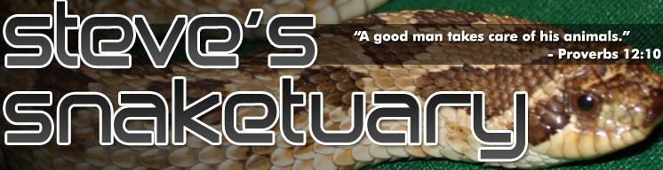 Steve's Snaketuary