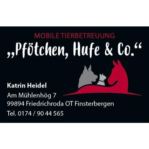 Hundepension Hundekindergarten Mobile Tierbetreuung Pfötchen Hufe und Co. Inh. Katrin Heidel
