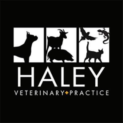 Haley Veterinary Practice, LLC