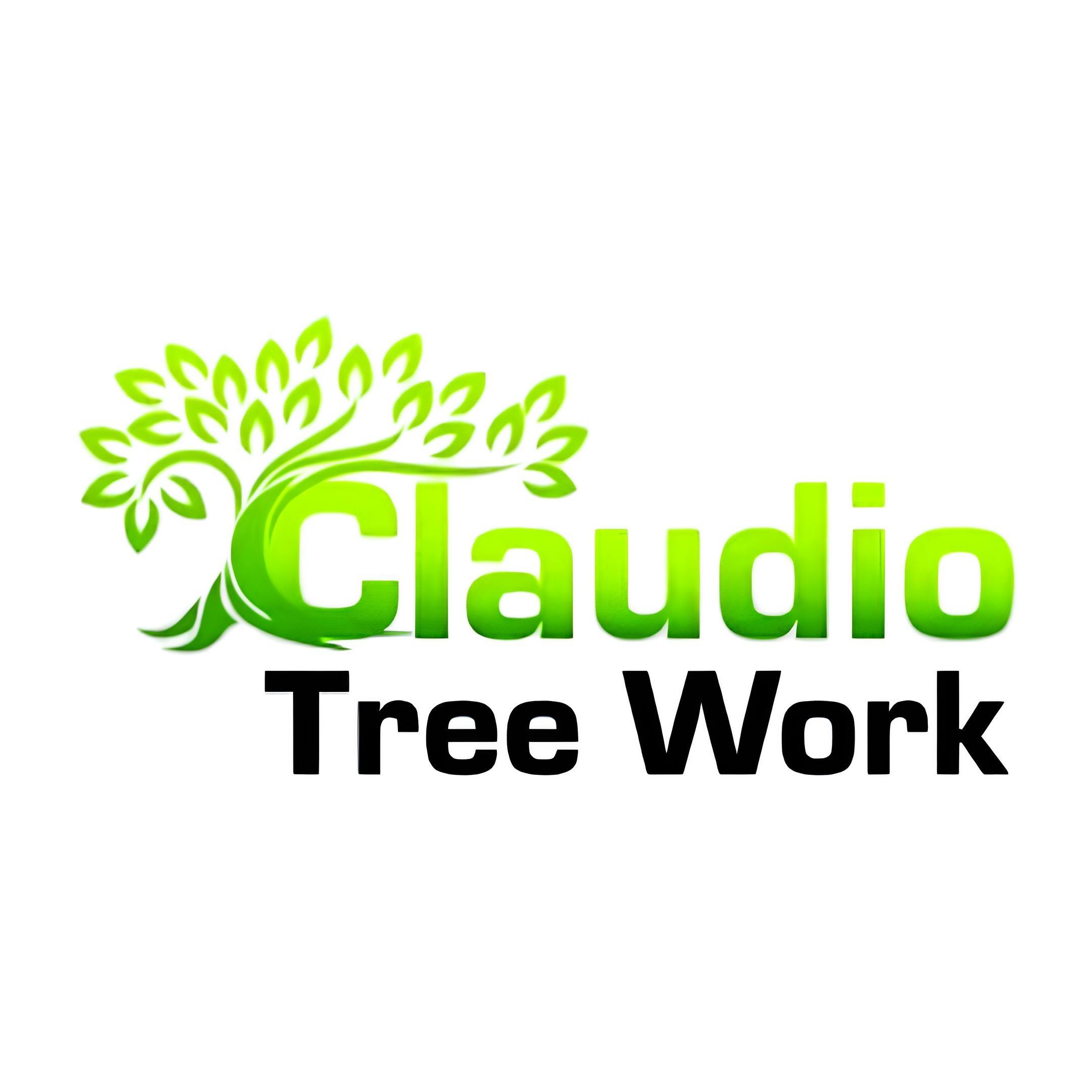 Claudio Tree Work and Landscaping LLC