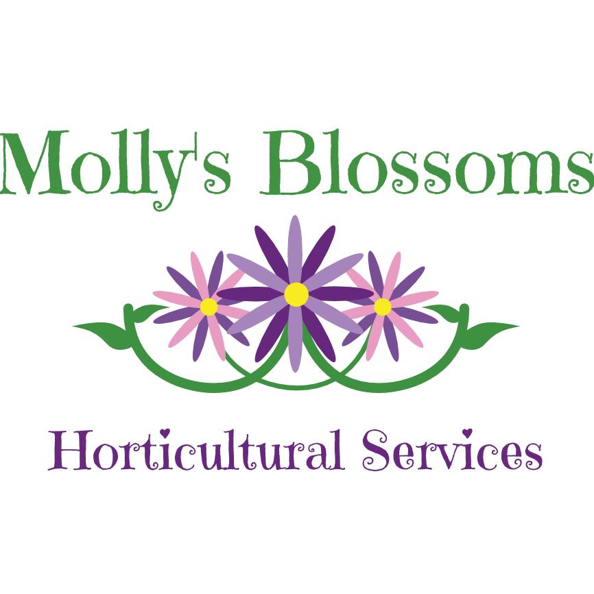 Molly's Blossoms