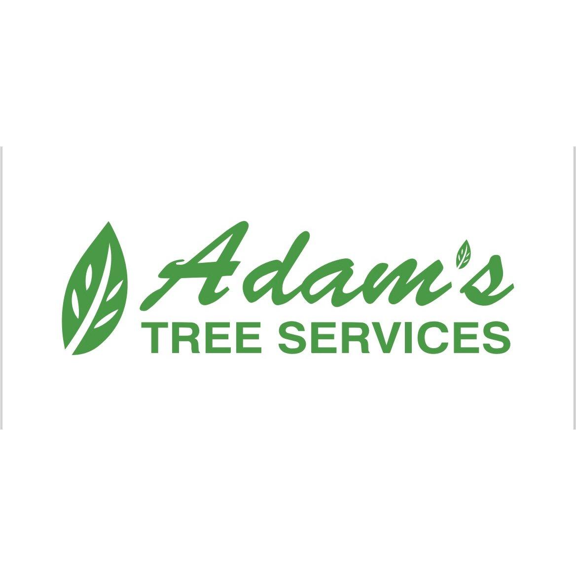 Adams Tree Services