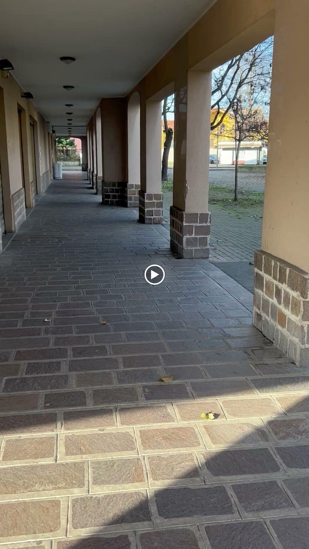 DermaPet dermatologia veterinaria