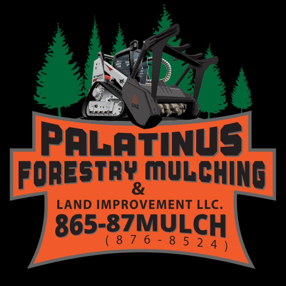 Palatinus Forestry Mulching