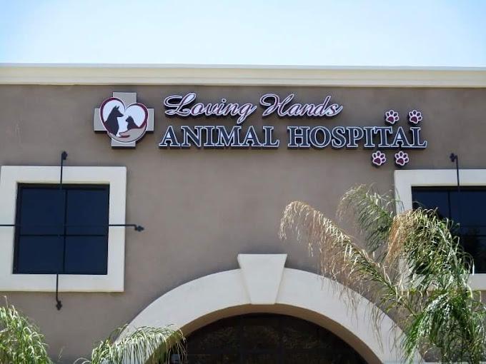 Loving Hands Animal Hospital
