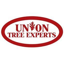 Union Tree Experts