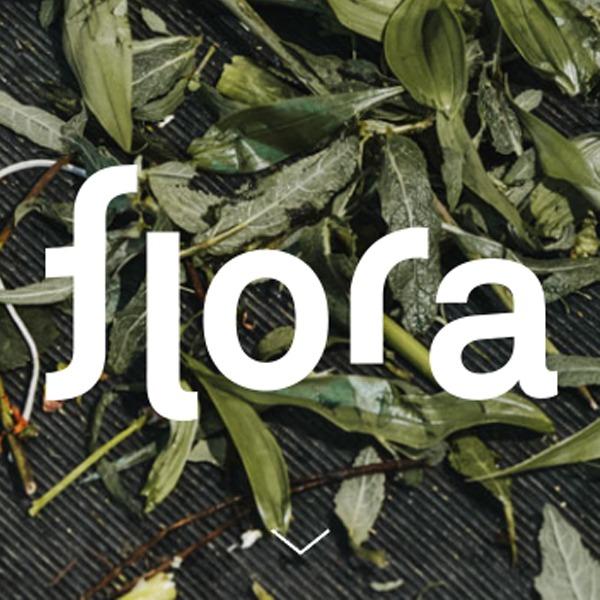 Flora - Blumenmomente