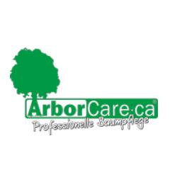 ArborCare·ca Baumdienst / Baumpflege / Seilklettertechnik Bonn