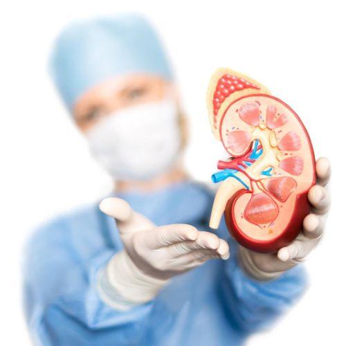 Nephrology & Hypertension Medical Associates