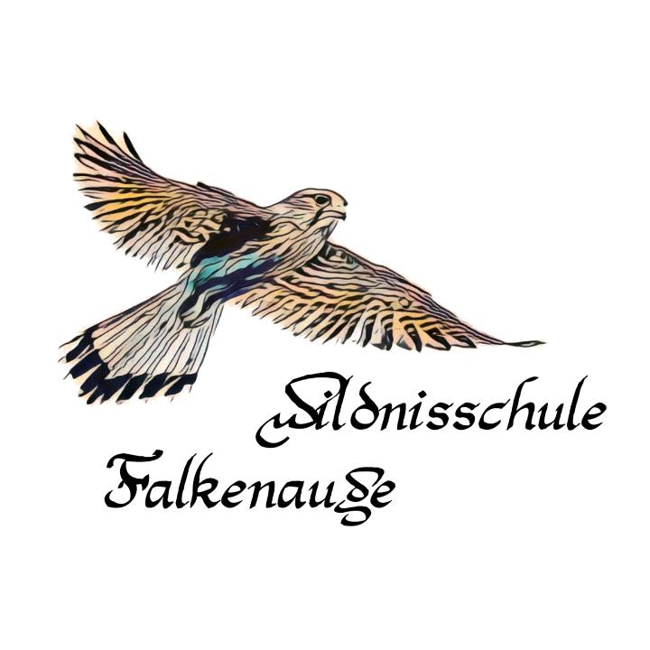Wildnisschule Falkenauge
