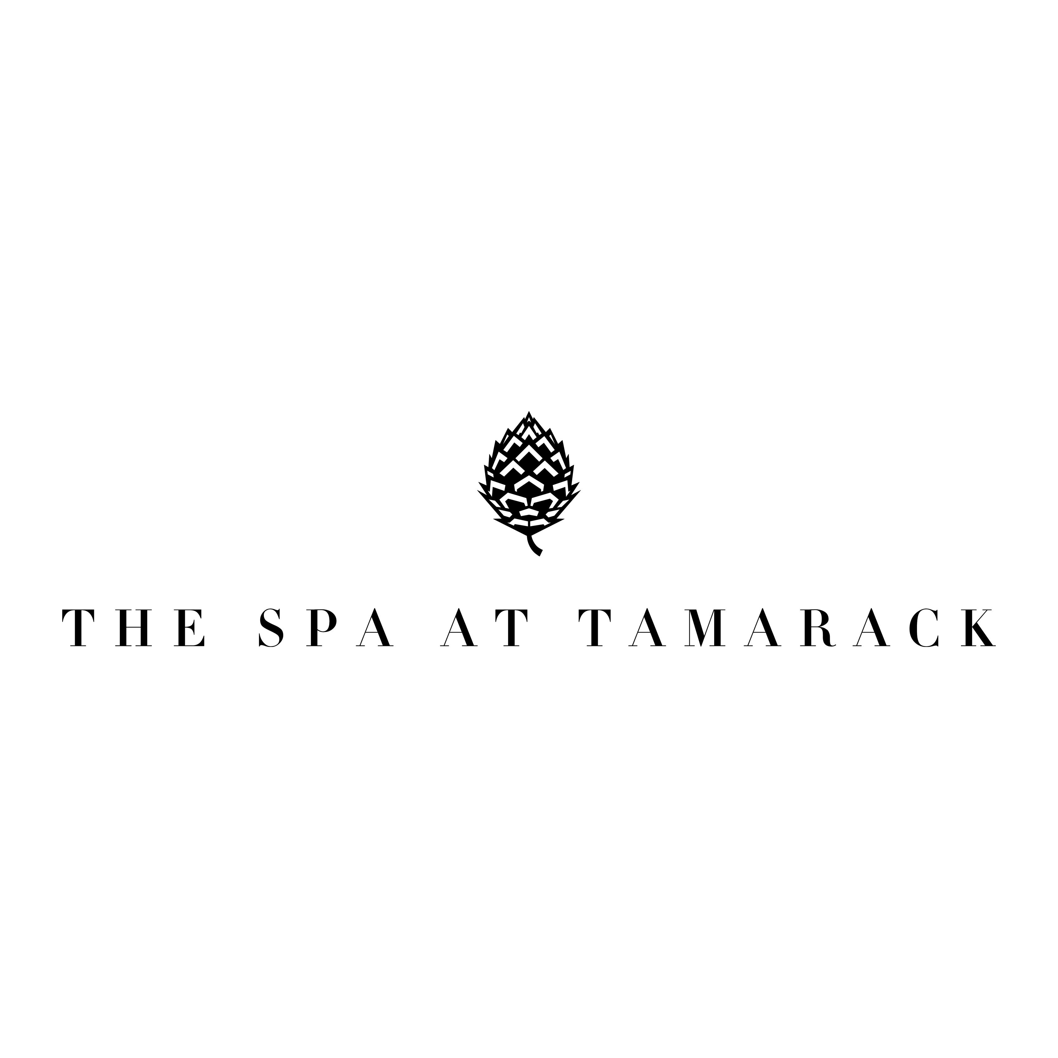 The Spa at Tamarack Resort