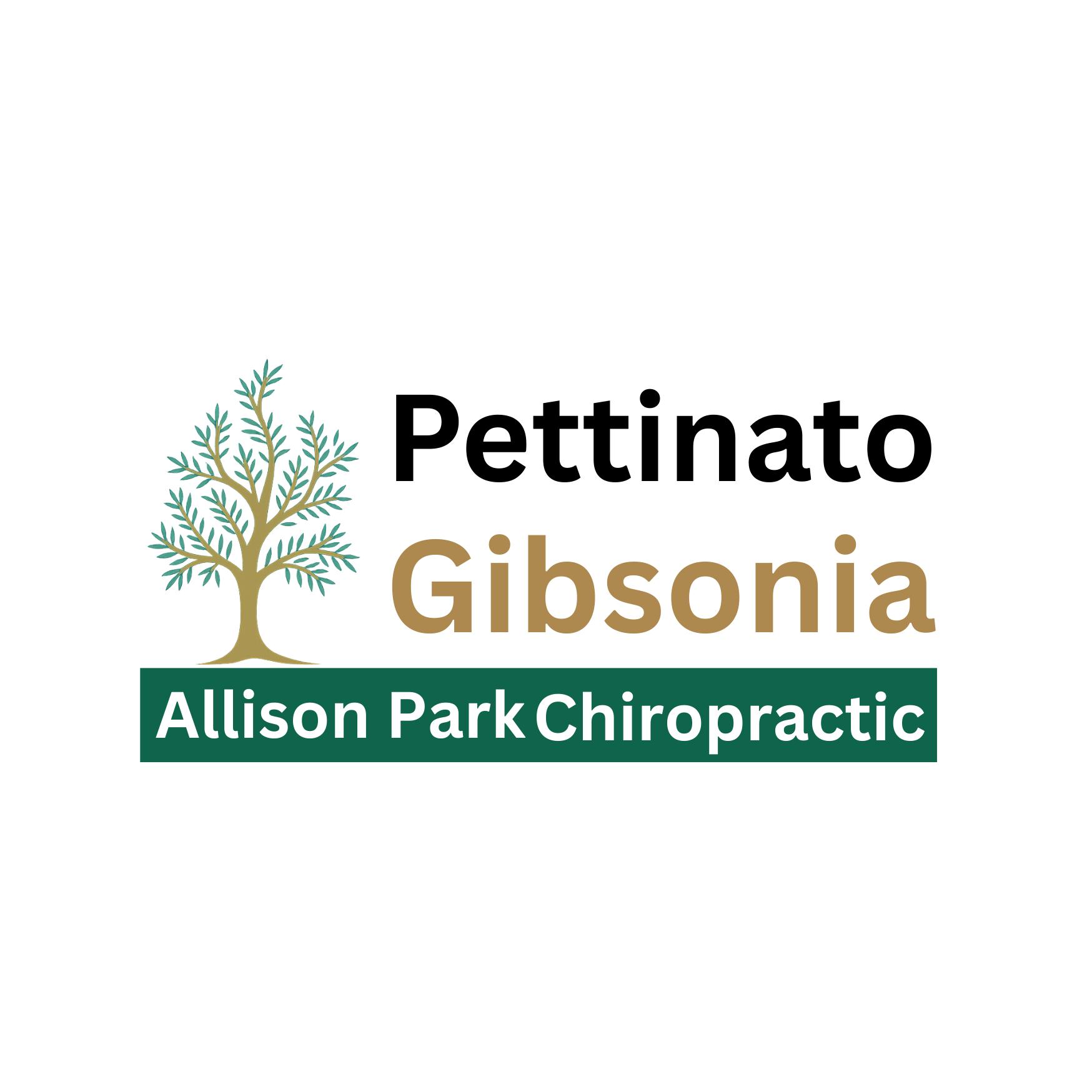 Pettinato Gibsonia Allison Park Chiropractic