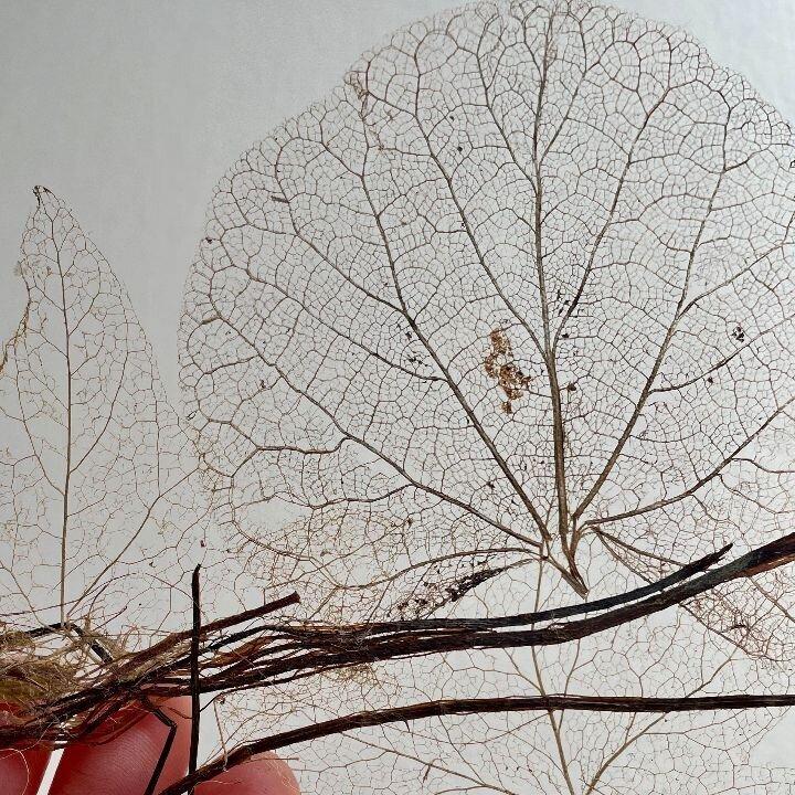 Christine Cougoule Visuel artist