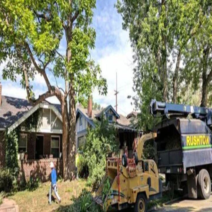 Rushton Tree Service