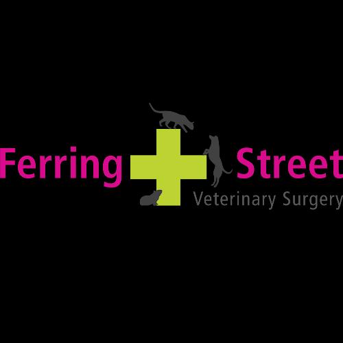 Ferring Street Veterinary Surgery