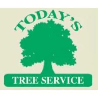 Today's Tree Service Inc