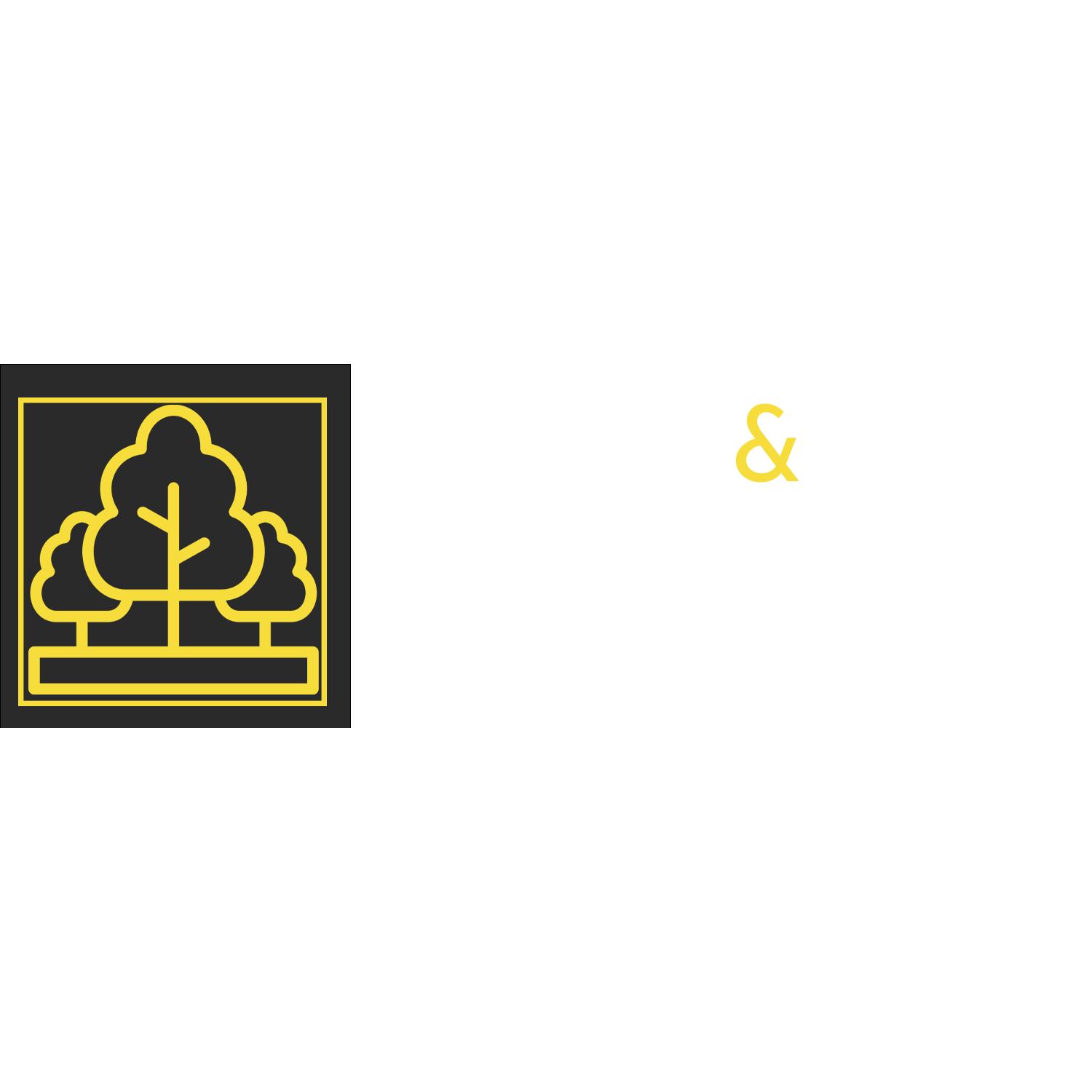 Evans & Son Lot and Land Clearing