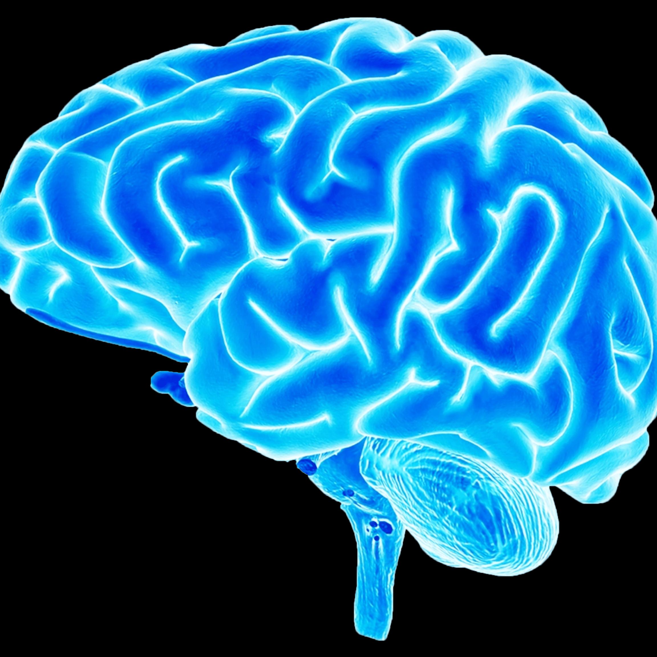 Hearing and Brain Centers of America- Santa Clara & Ivins, Utah Tinnitus Relief