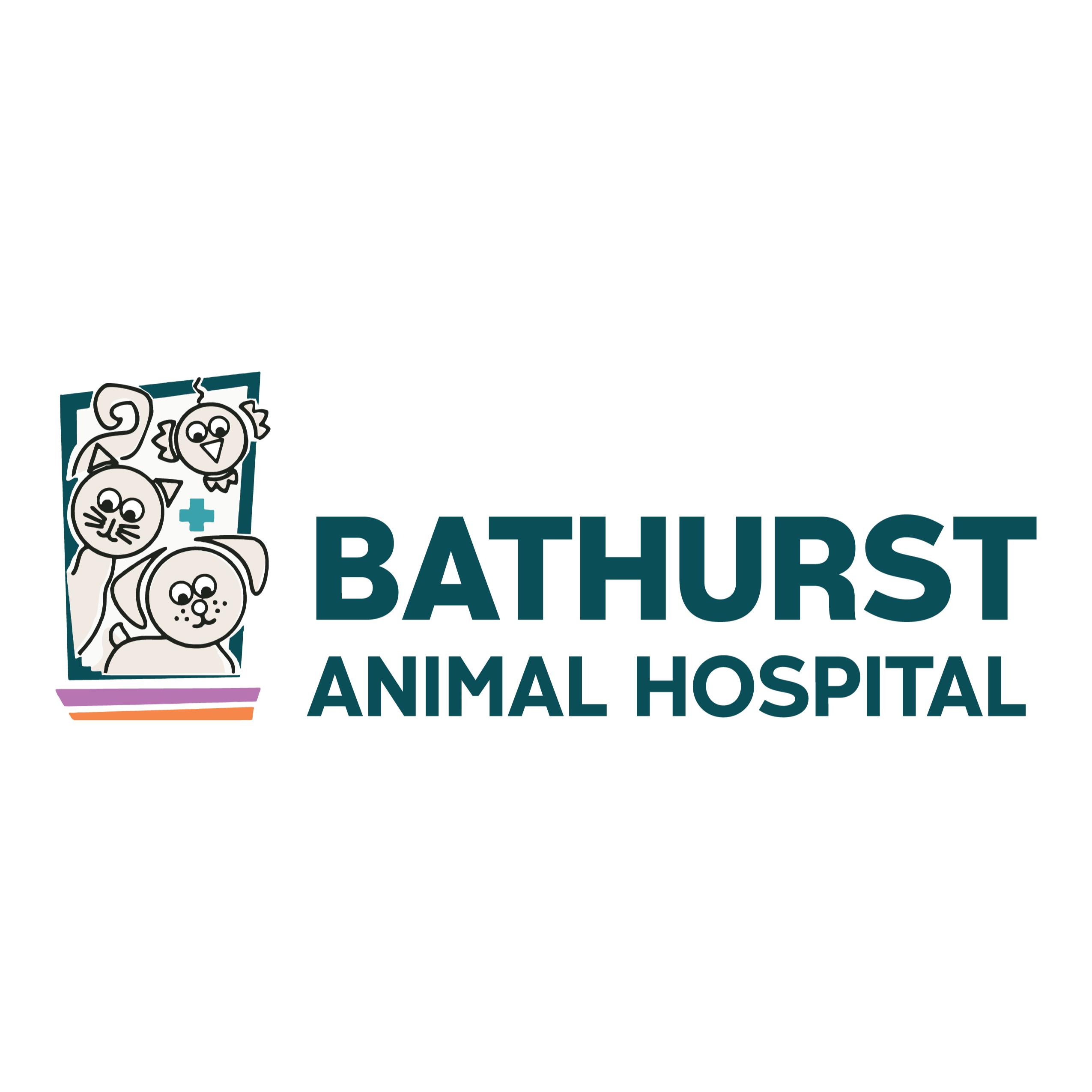Bathurst Animal Hospital