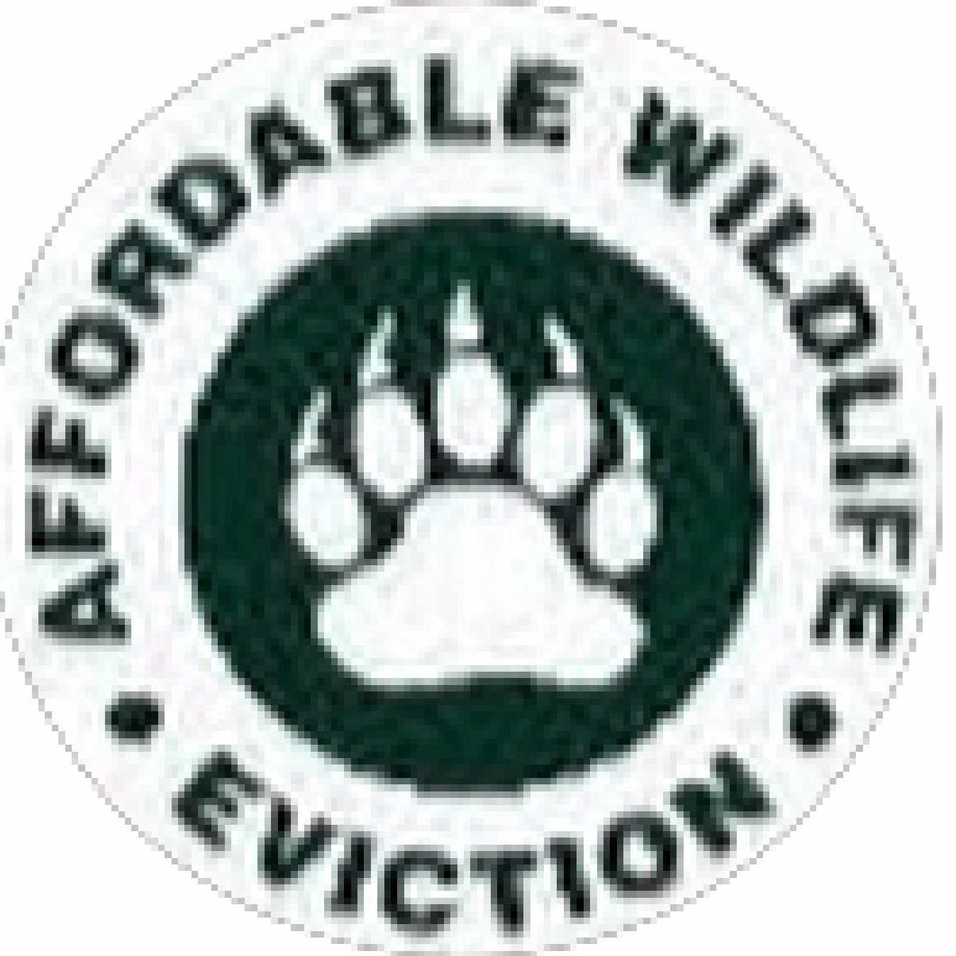 Affordable Wildlife Eviction
