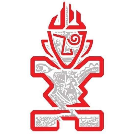 STARBOARD CZ Paddleboard - wing centrum Praha