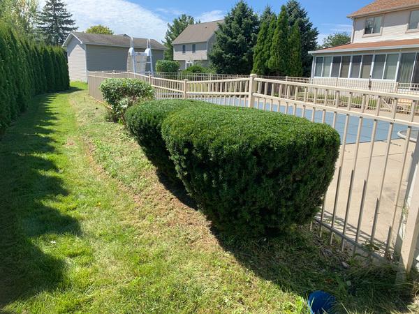 Diamond Plus LawnCare LLC