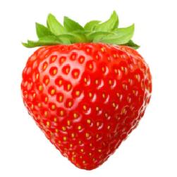 Jahody Kunratice - Jakoubek Michal Ing.