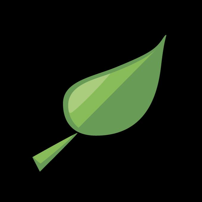 High Performance Homes