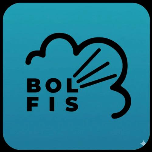 Bolfis Cleaning and Decorating Ltd